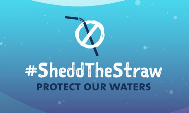 Shedd the Straw update