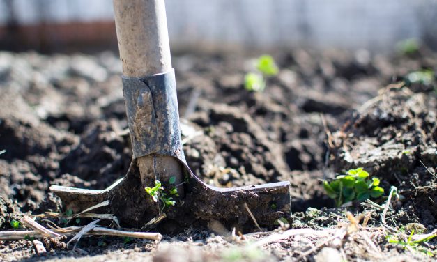 Environmental Benefits of Composting