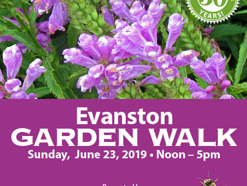 Evanston Garden Walk