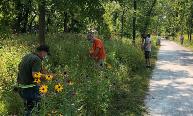 Lend a Hand on the Green Bay Trail