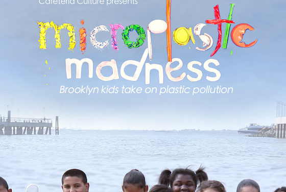 Microplastic Madness Film Screening and panel discussion 11/18, 4-6pm