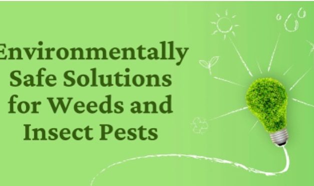 Environmentally Safe Solution for Weeds & Pests