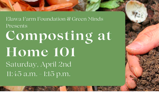 Composting At Home 101