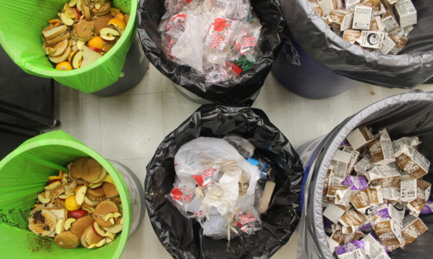 Going for Zero Waste at School