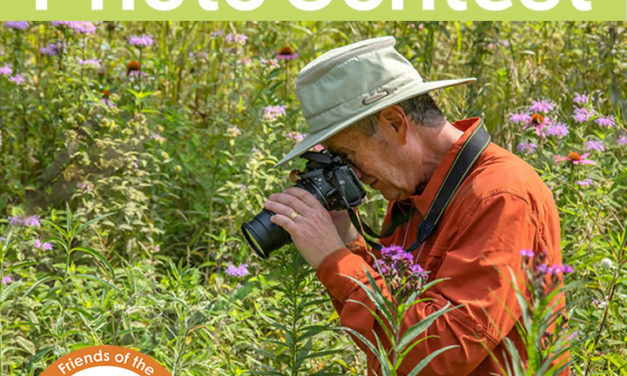 Green Bay Trail Photography Contest