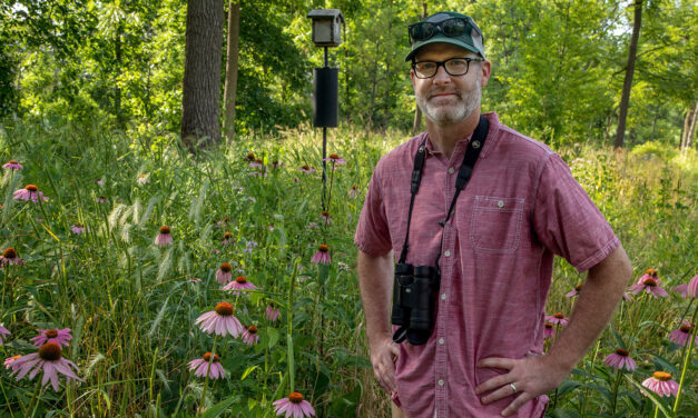 Spring  Bird walk with Tim Joyce