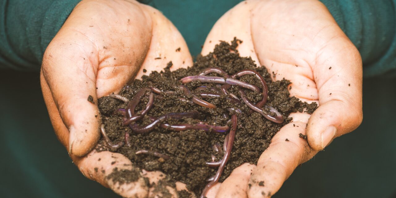 Benefits of Compost