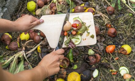 Health Benefits for the Planet & You: Start Your Summer of Composting with Help from Go Green Illinois